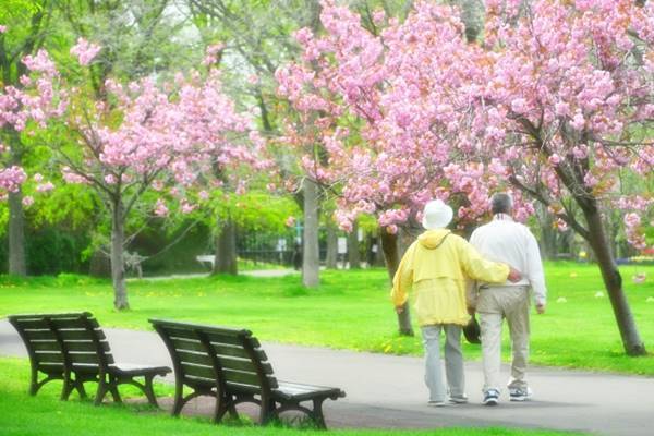 “介護に優しい街”さいたま市西区が誇るアクセス利便性