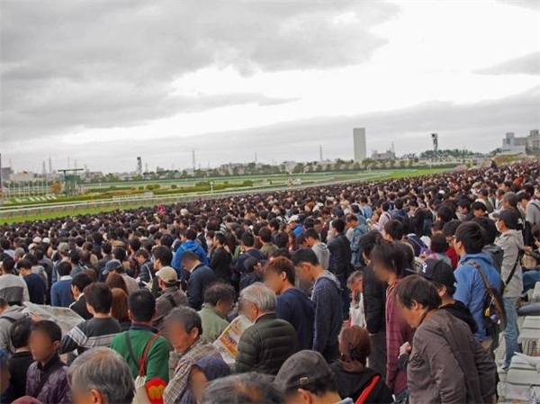 花見、競馬、一攫千金？欲張る大人の遊園地「競馬場」で遊んでみた
