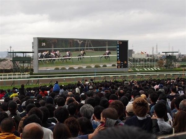花見、競馬、一攫千金？欲張る大人の遊園地「競馬場」で遊んでみた