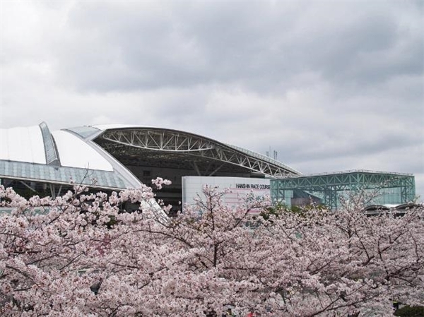 花見、競馬、一攫千金？欲張る大人の遊園地「競馬場」で遊んでみた