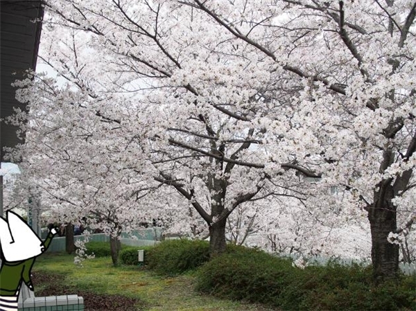 花見、競馬、一攫千金？欲張る大人の遊園地「競馬場」で遊んでみた
