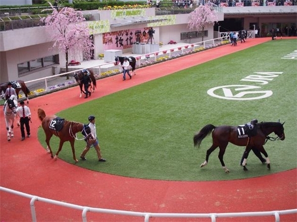 花見、競馬、一攫千金？欲張る大人の遊園地「競馬場」で遊んでみた