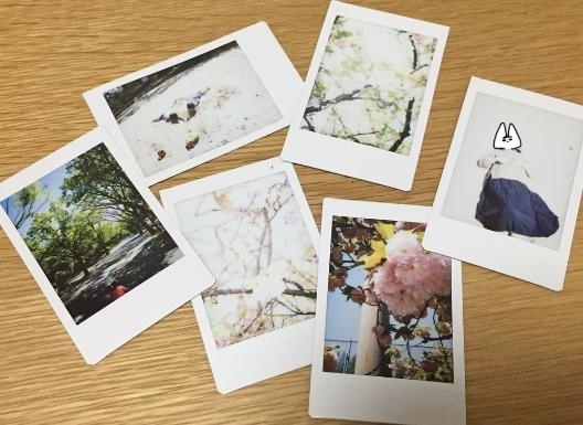 なんで？懐かしのインスタントカメラが若い女子に人気な理由