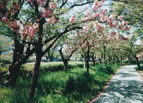 なんで？懐かしのインスタントカメラが若い女子に人気な理由