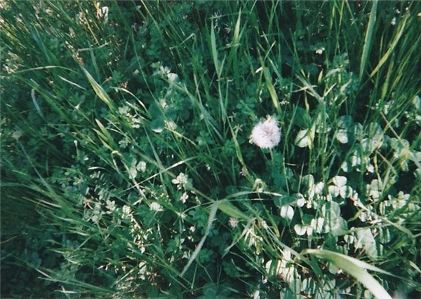 なんで？懐かしのインスタントカメラが若い女子に人気な理由