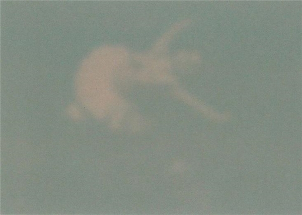 なんで？懐かしのインスタントカメラが若い女子に人気な理由