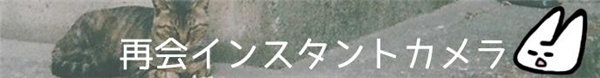 なんで？懐かしのインスタントカメラが若い女子に人気な理由
