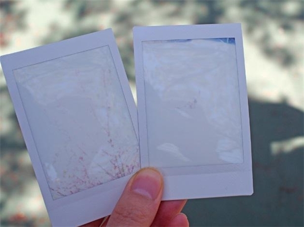 なんで？懐かしのインスタントカメラが若い女子に人気な理由