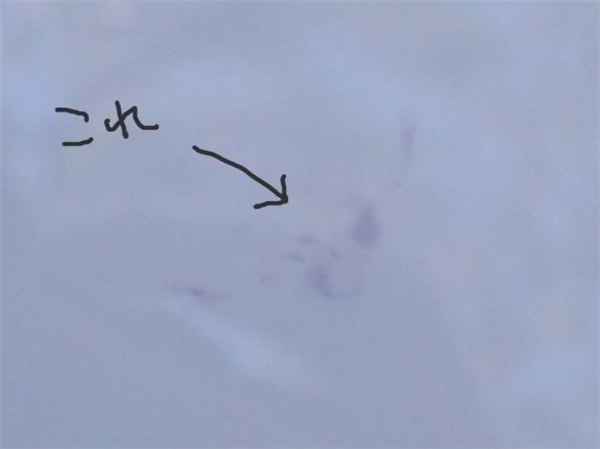 なんで？懐かしのインスタントカメラが若い女子に人気な理由