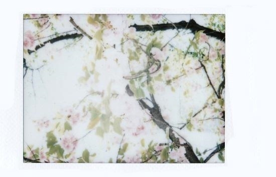 なんで？懐かしのインスタントカメラが若い女子に人気な理由