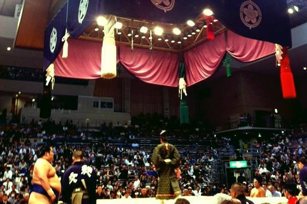 高まる相撲熱！横野レイコさんが解説“キセタカ時代”の楽しみ方