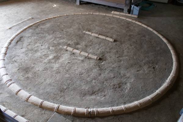 双子やイマドキの力士も！“キセタカ時代”を盛り上げる若手たち