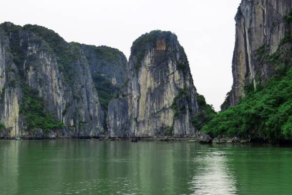 残留元日本兵の家族が両陛下にご接見…実現させた日本人女性