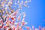 【韓ドラの凄ワザ！】『私の人生の春の日』の幸福感とは？