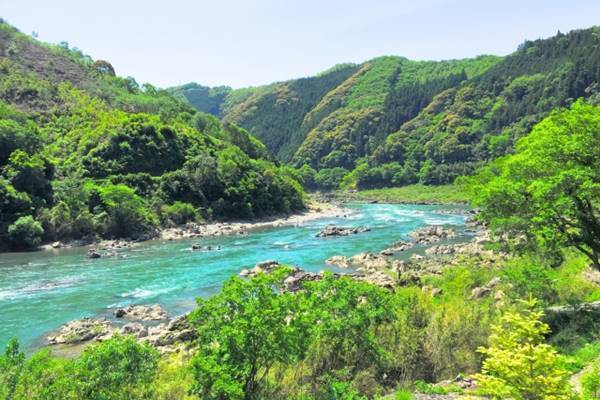 47都道府県で女子に愛される地元のメイブツ【高知県編】