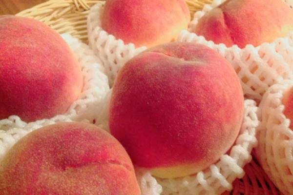 伊野尾慧に恋の10問10答「年上の女性、大好き」