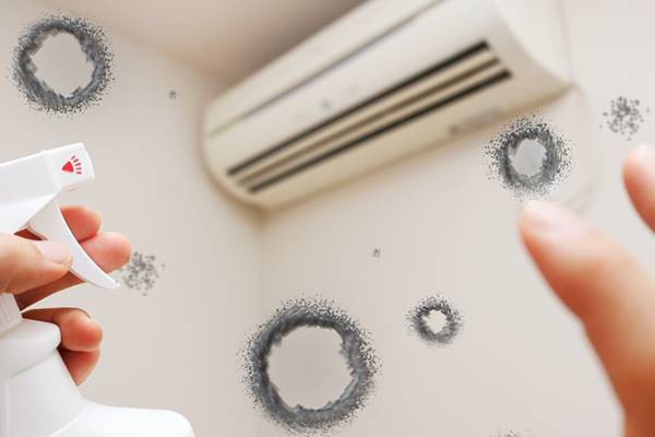 梅雨だからこそやっておきたい、家の「カビ＆ダニ退治術」