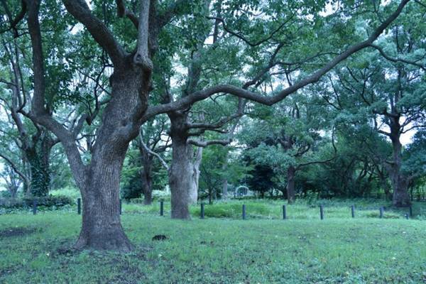 【韓ドラの凄ワザ！】『家族を守れ』女性ヒロインの健気さ