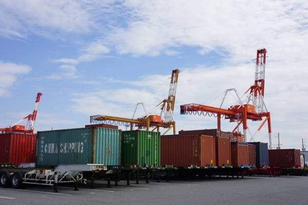 猛毒アリが続々日本に上陸？ヒアリ以外にも殺人アリの恐怖！