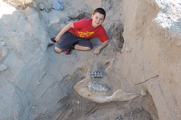 9歳の男の子、歴史的価値きわめて高い化石を散歩中に発見
