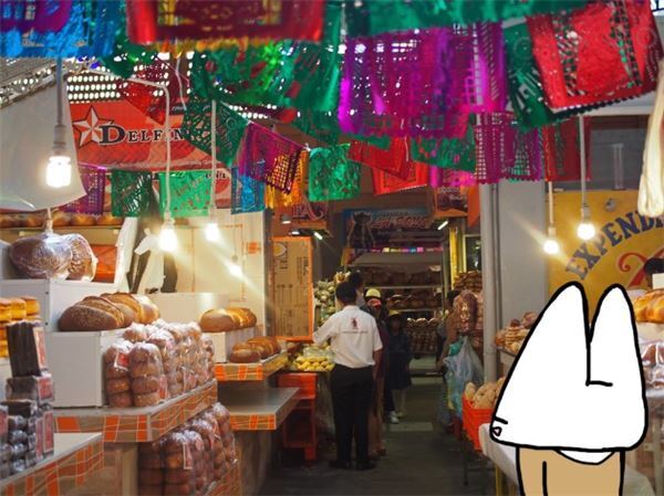 メキシコってどんな国？知られざる日常を見る！