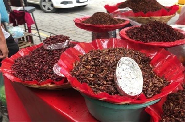 チョコレートごはんに皮付きアボカド！衝撃のメキシコ料理を食す！