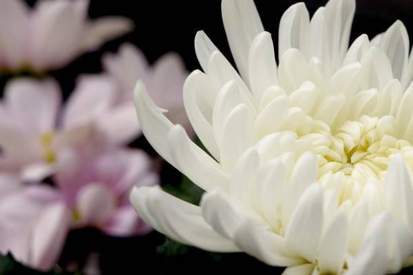 俳優の出光元さん、肺腺がんで死去　享年82歳