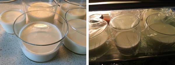 第137飯「大人のパンナコッタ」