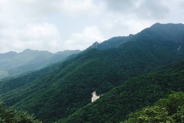 【韓ドラの凄ワザ！】『師任堂、色の日記』の出来について