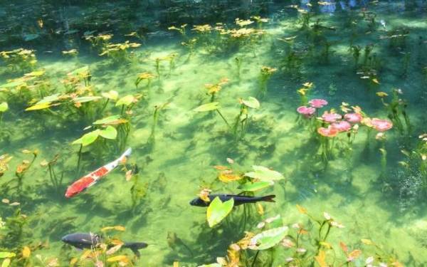 SNS拡散の新名所も…名古屋発“1万円以下で絶景旅”