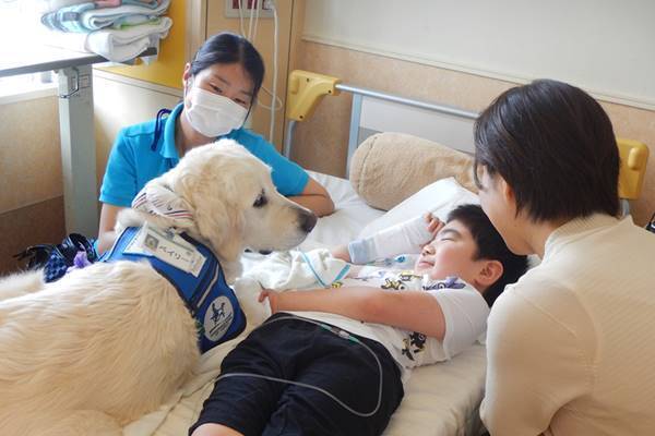 入院中の重病児に元気を！病院で働く“ファシリティドッグ”とは？