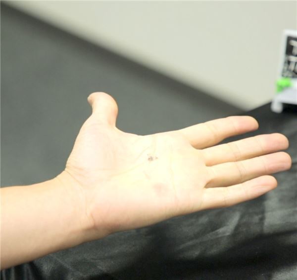 3分で種明かし！手の灰が移動する仰天ハロウィンマジック