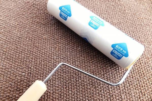 ダニ・カビ被害を防ぐ！「秋の大掃除」を効果的に進めるコツ