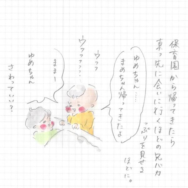 まめ、やはりゆめこにヤキモチを焼いていた 『まめ日和』第84回