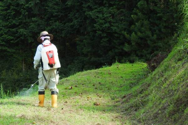100円ショップでも売っている人気除草剤にがん発症リスク
