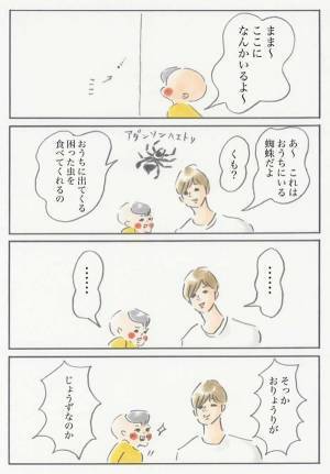 ハエトリにまつわるまめの豊かな発想 『まめ日和』第122回