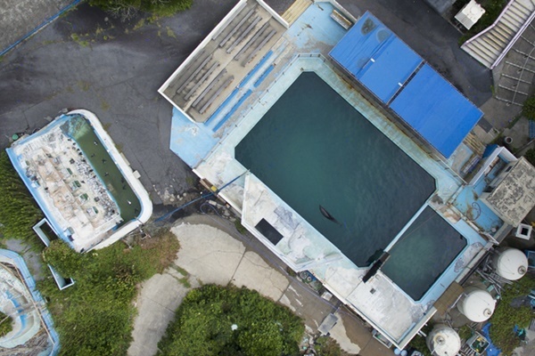 上空写真から見た“ペンギン＆イルカ取り残し”水族館の現状