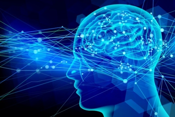 8つの“脳番地”をバランスよく鍛えれば脳は死ぬまで衰えない