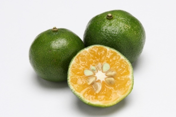 帝京大名誉教授が伝授「シークワーサーが血糖値を下げる」