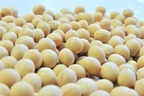 大豆、サーモン…米国から輸入する食品の安全性を専門家が問う
