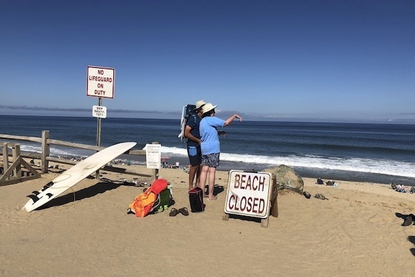 サメに殺された男性、ビーチでプロポーズする予定だった