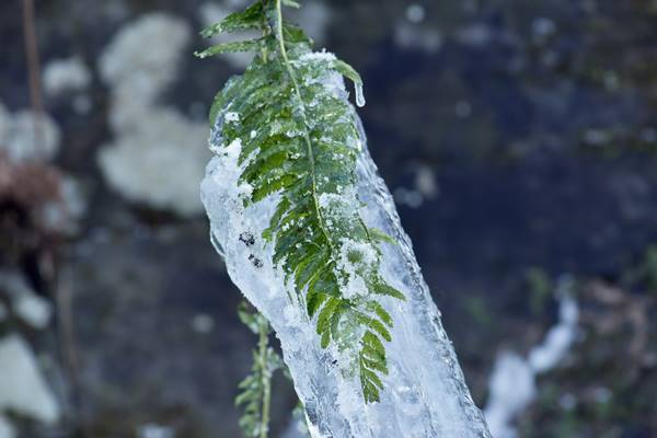 防寒対策も完璧に！旅ジャーナリストが教える「雪旅」のススメ