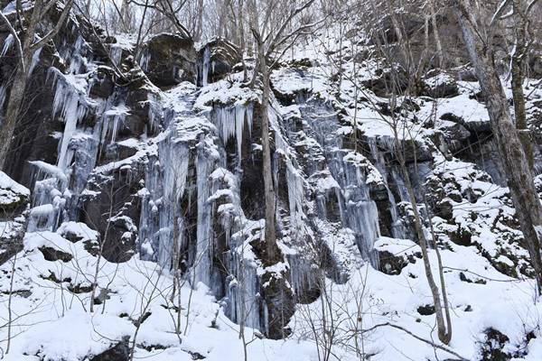 息をのむ美しさ…奥入瀬「氷瀑」を見る旅に行ってきた