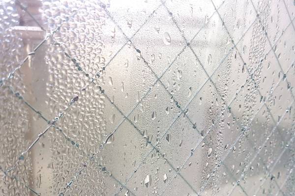 なぜカビは冬の部屋が好きなのか…窓＆寝室で大爆発中！