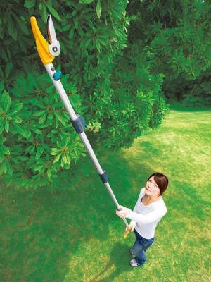 高枝切りばさみはいつから？通販ロングセラー商品ベスト6