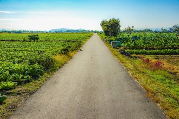 鉄腕DASH全国謝罪ロケを！新生TOKIOが下す再起への決断