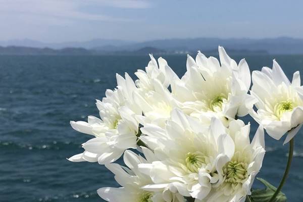 広がる「散骨」葬儀に蛭子能収は「簡略化されることは何より」