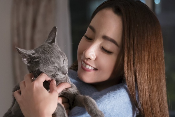 沢尻エリカが6年ぶり主演映画はイケメン俳優が“飼い猫”に