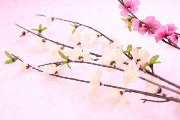 立春から幸運の1年をはじめるための「春財布」新調のススメ