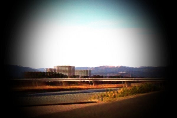 自覚症状でわかる“目の病気リスク”「白内障＆緑内障」篇